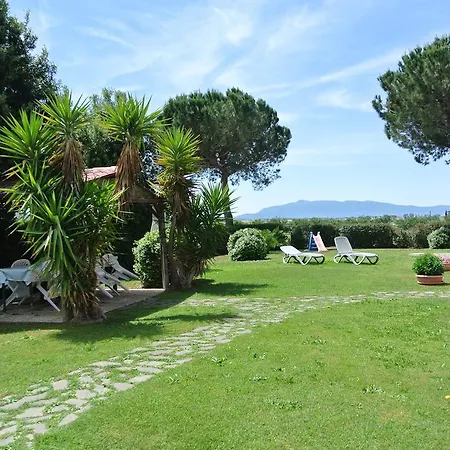 Agriturismo Poggio Campana Alloggio per agriturismo San Donato (Tuscany)
